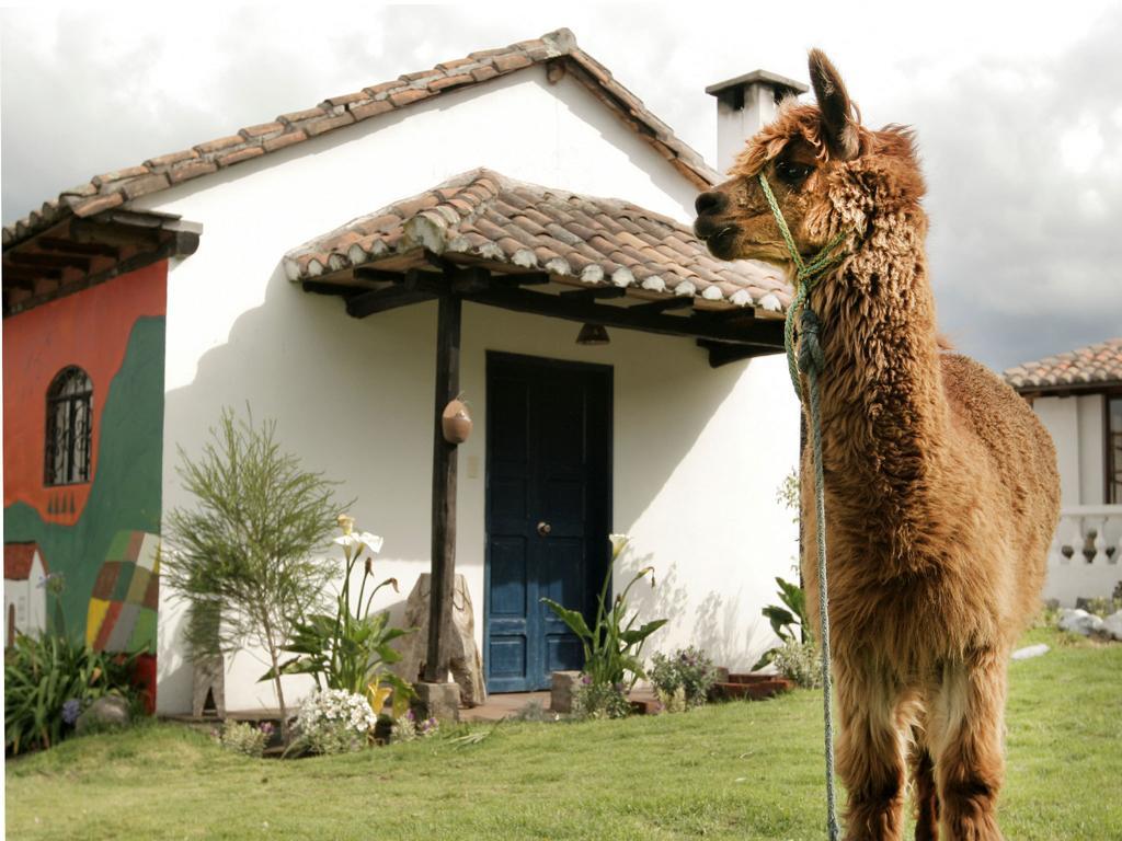 La Quinta Colorada Hotel Lasso ภายนอก รูปภาพ
