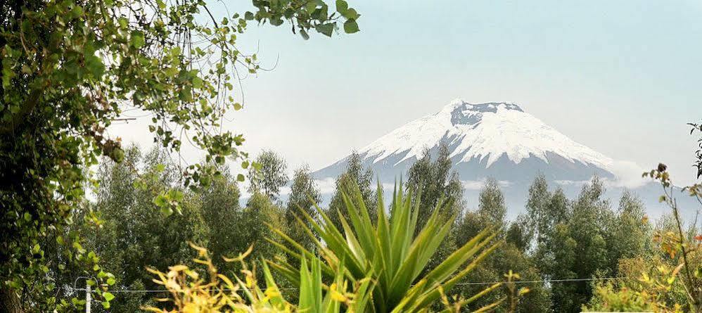 La Quinta Colorada Hotel Lasso ภายนอก รูปภาพ
